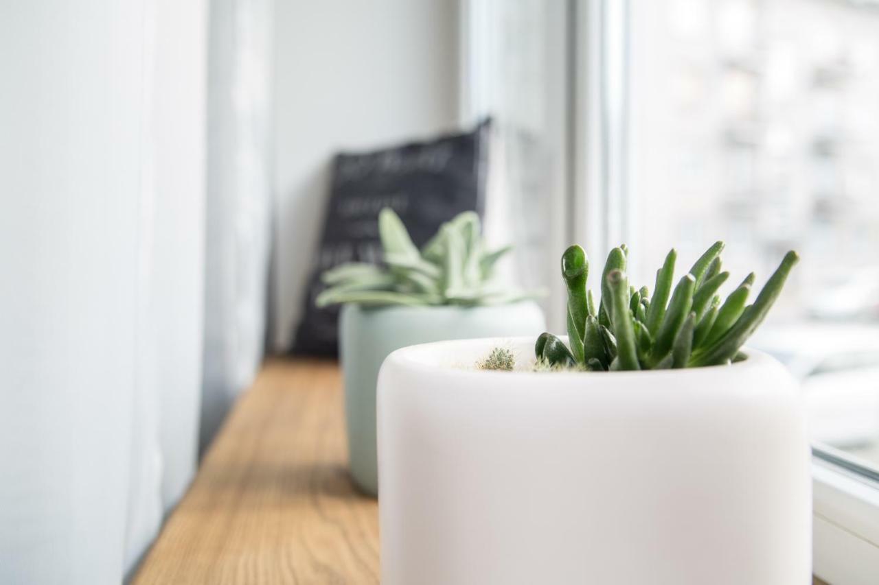 Downtown Apartment Rentals 2 Šiauliai Eksteriør bilde
